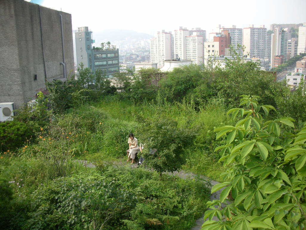 한겨레신문사 하니동산 유지관리 작업 (서울 마포구)
