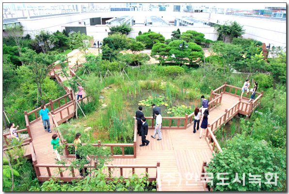 롯데백화점 일산점 옥상녹화 시공사례 — 생태연못과 목재 데크 산책로 (경기 고양)