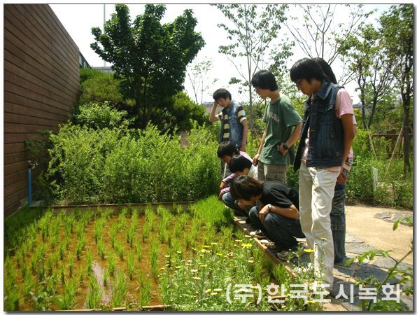 롯데백화점 일산점 옥상생태정원 시공 전경 2