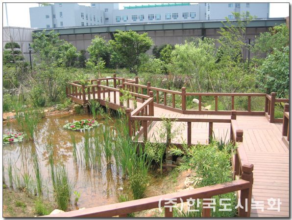 롯데백화점 일산점 옥상생태정원 시공 전경 4
