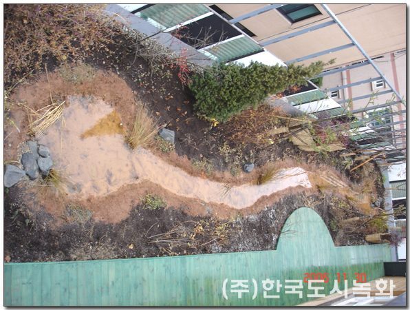 성미산학교 옥상녹화 시공사례 — 옥상에 조성한 빗물 개울과 자연형 식재 (서울 마포구)