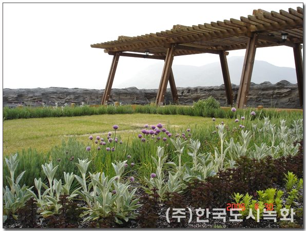 고성공룡엑스포 주제관 옥상정원 시공 전경 3