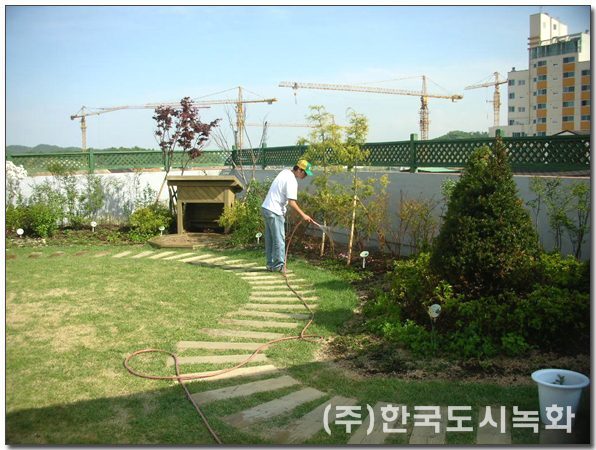 고양어린이집 옥상녹화 시공사례 — 잔디 마당과 디딤돌 길, 관목 식재 (경기 고양)