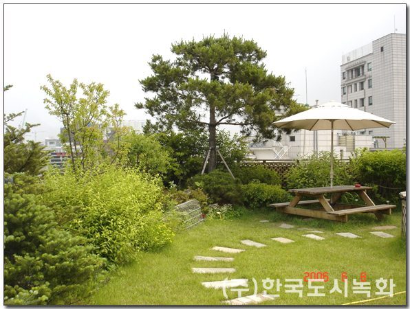 교평빌딩 옥상정원 시공 전경 3