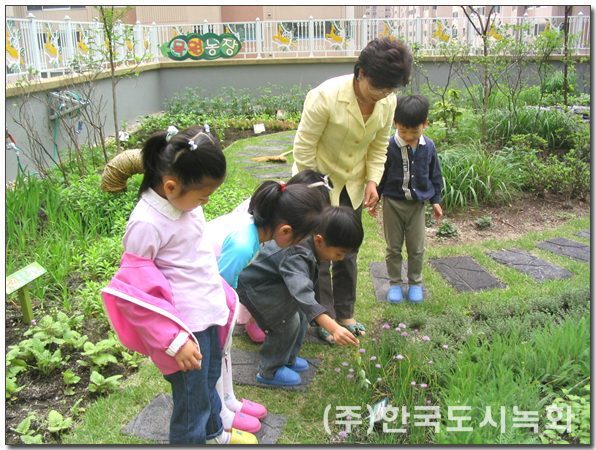 목원유치원 옥상녹화 옥상생태정원 초화류 식재 전경 (서울 구로구)