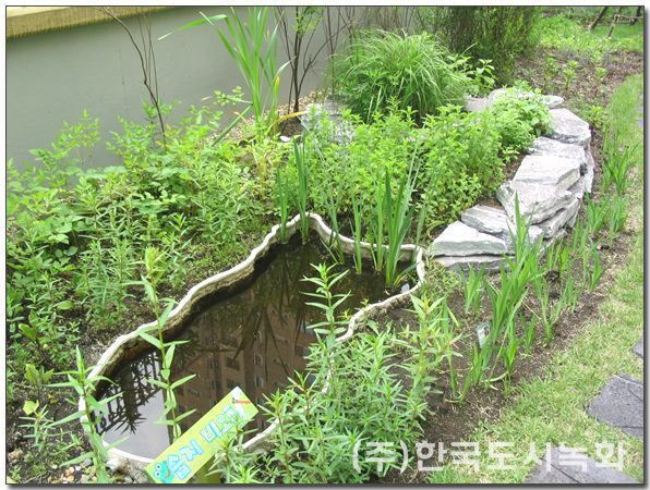 목원유치원 옥상정원 아이들 동선을 고려한 식재 공간 (서울 구로구)