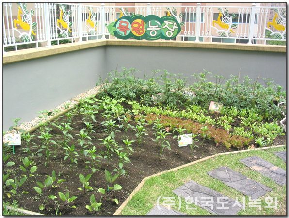 목원유치원 옥상생태정원 관목과 초화류가 어우러진 정원 (서울 구로구)