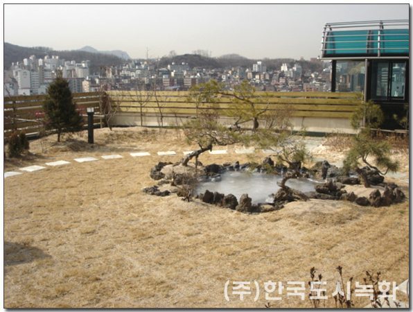 범평헌빌딩 옥상녹화 옥상정원 식재 전경 (서울 관악구)