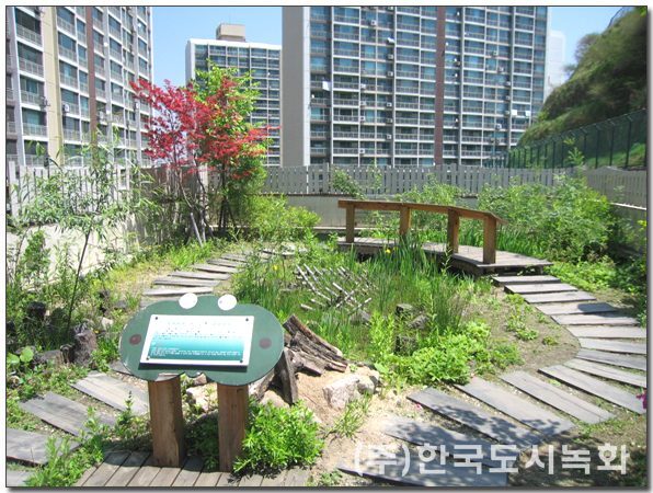 벧엘유치원 옥상녹화 옥상정원 초화류 식재 전경 (서울 성동구)