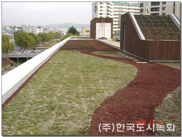 전주자원봉사혁신센터 옥상 녹지 전경 (전북 전주시)