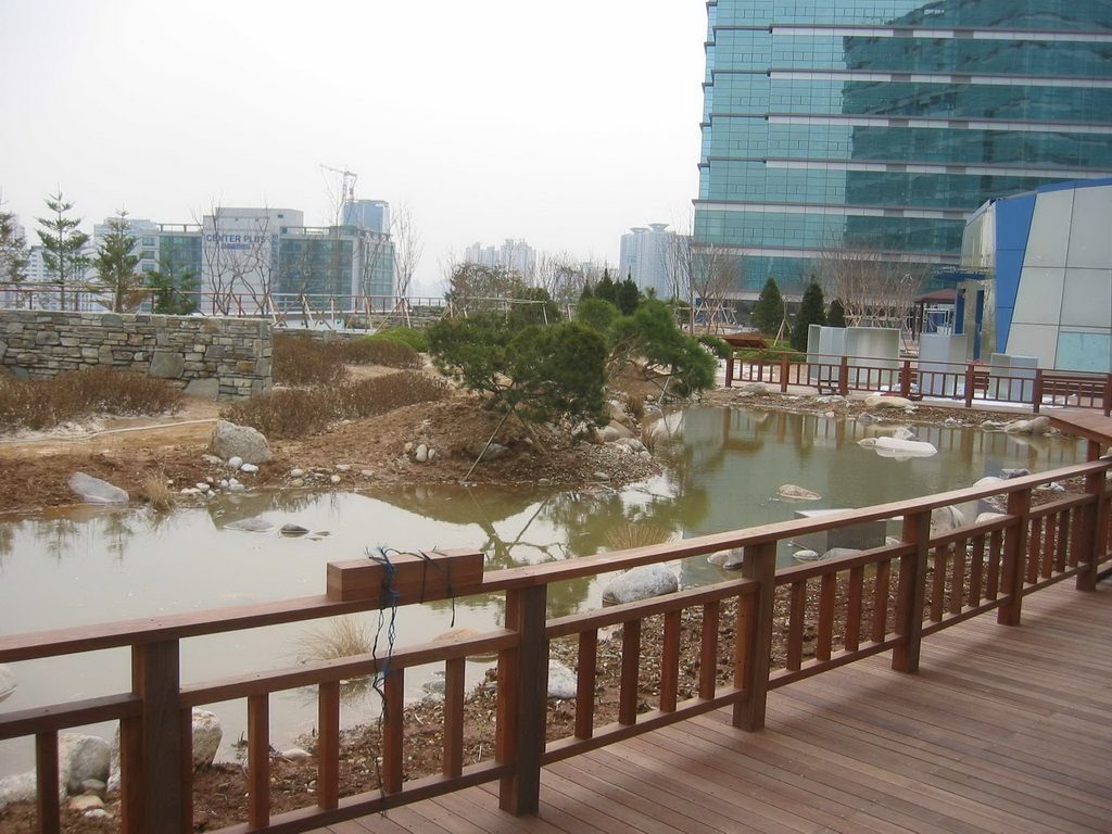 영등포 에이스테크노타워 옥상습지원 비오톱 수생공간 (서울 영등포구)