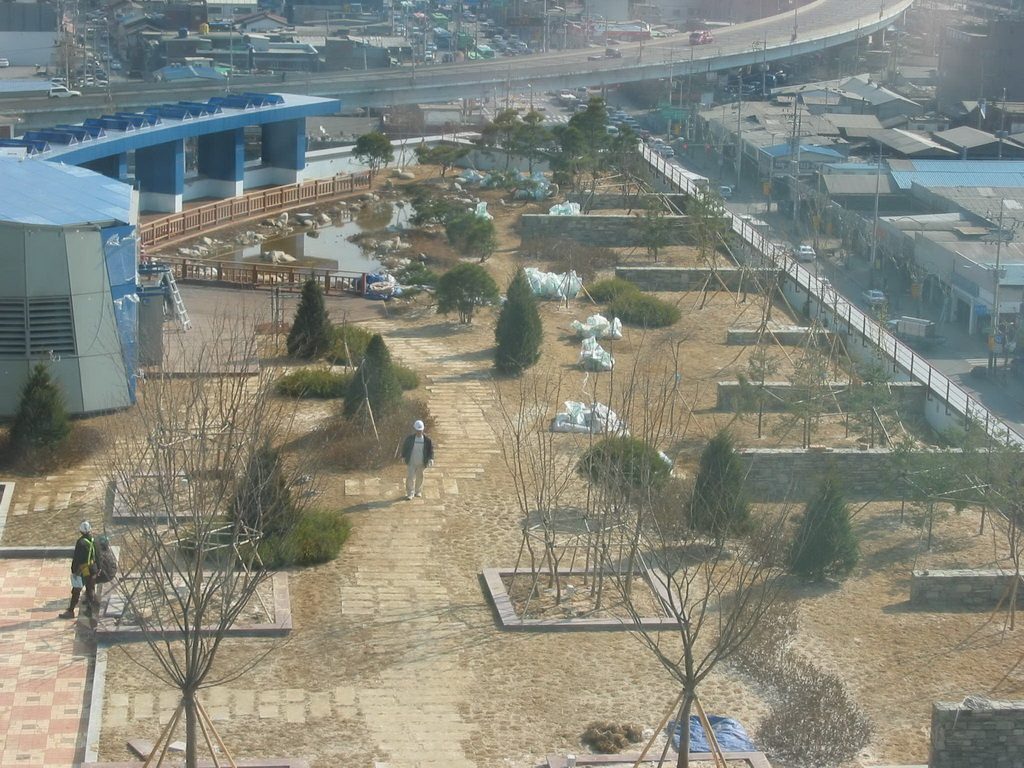 영등포 에이스테크노타워 옥상 수생식물과 습지 식재 (서울 영등포구)