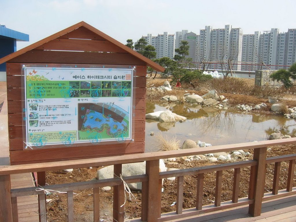 영등포 에이스테크노타워 옥상 비오톱 전경 (서울 영등포구)