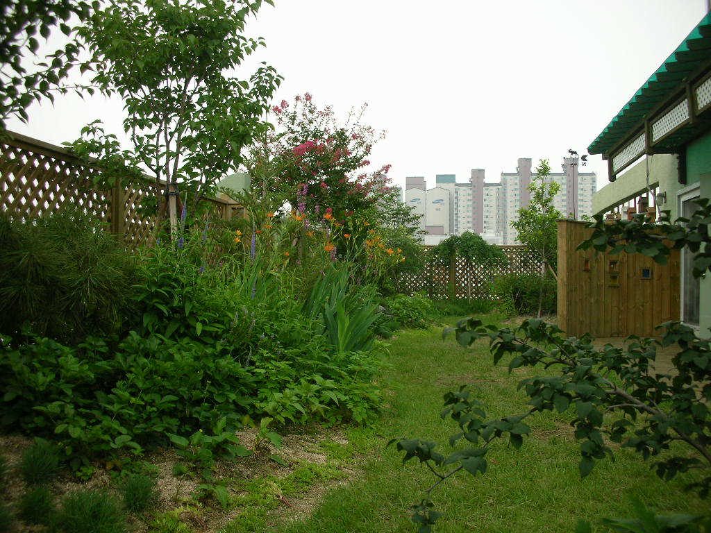 캉스키즈어린이집 옥상 자연정원 초화류 식재 전경 (서울 강남구)