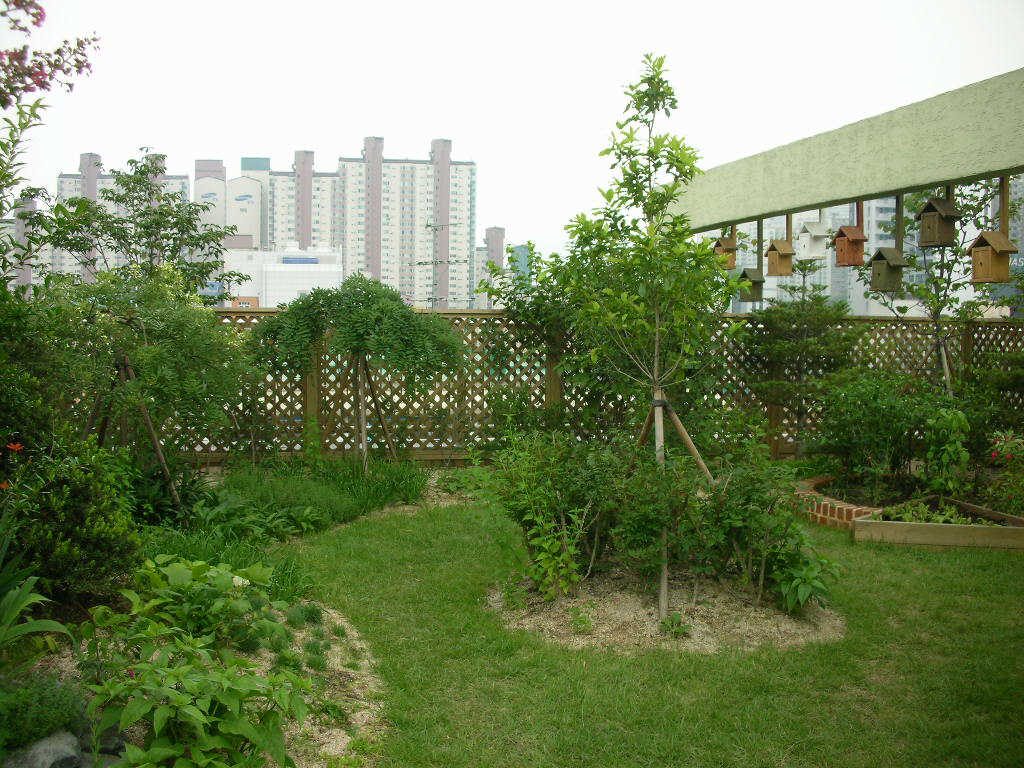 대치동 캉스키즈어린이집 옥상 자연정원 식재 (서울 강남구)