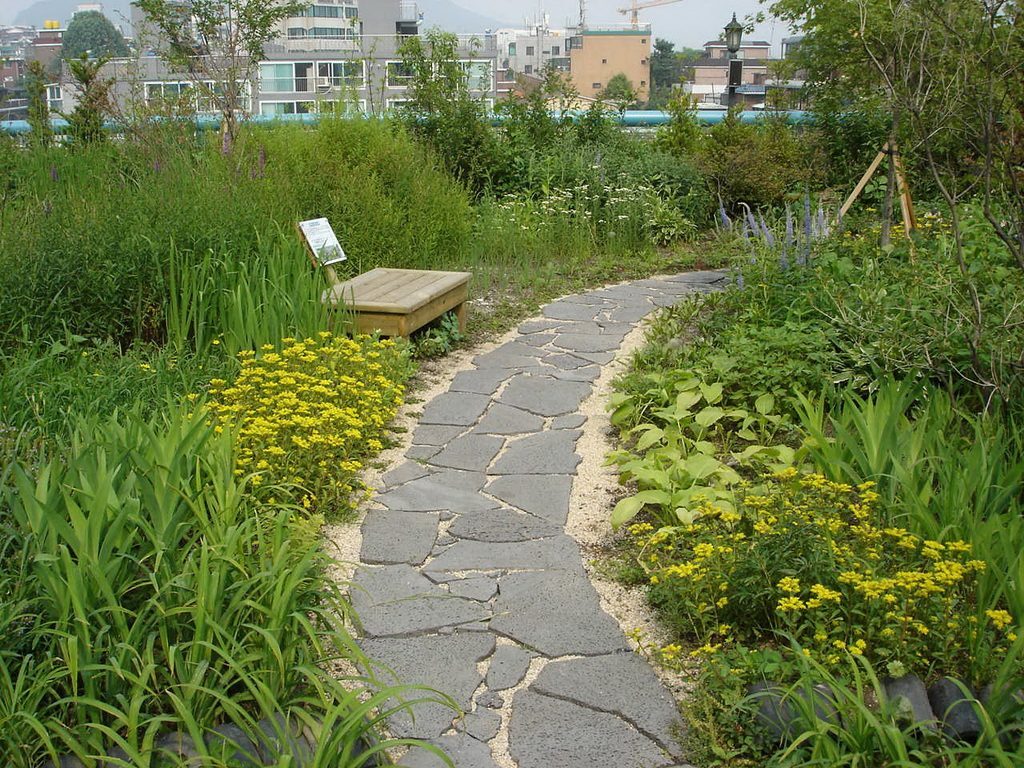 한겨레신문사 옥상생태공원 하니동산 전경 (서울 마포구)