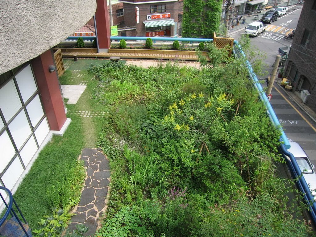 한겨레신문사 옥상생태공원 관찰로와 식재 (서울 마포구)