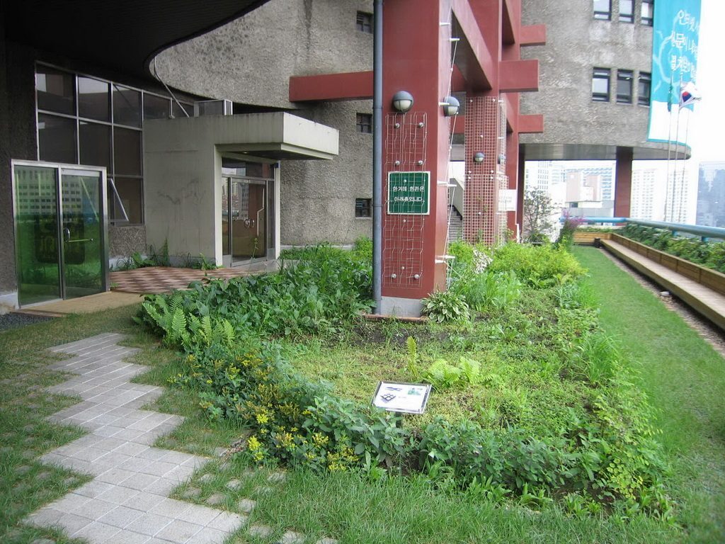 한겨레신문사 옥상생태공원 하니동산 식재 상세 (서울 마포구)