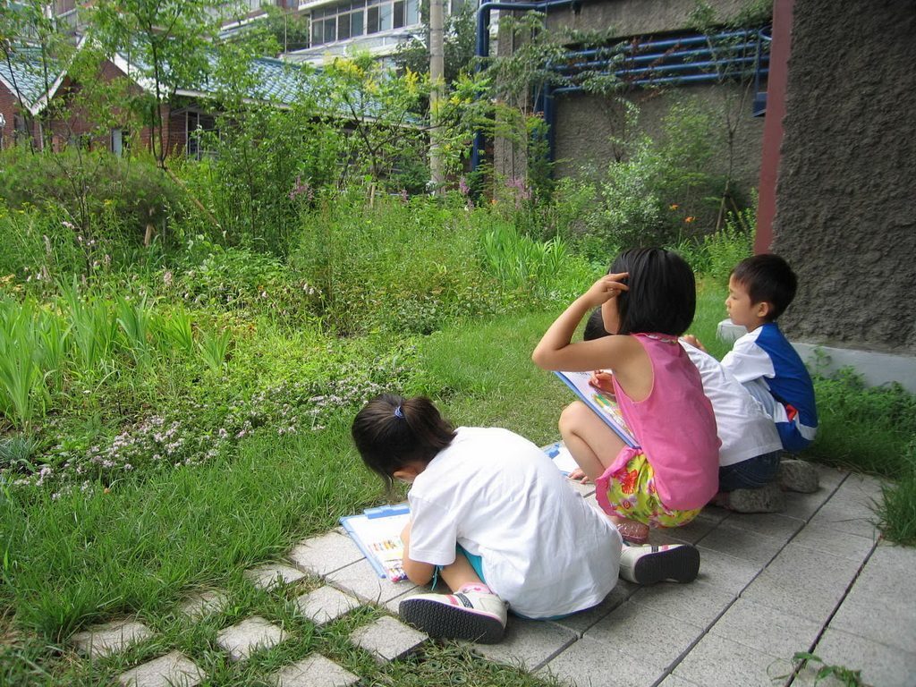 한겨레신문사 하니동산 옥상 생태공간 전경 (서울 마포구)