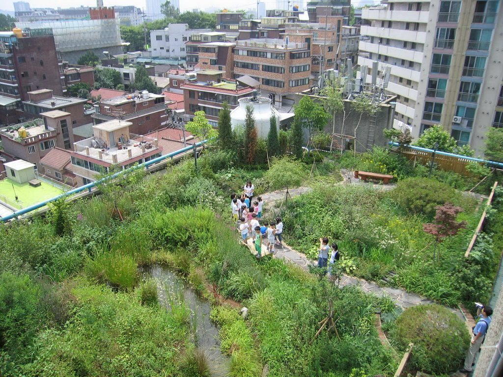 한겨레신문사 하니동산 수생·초화 식재와 곤충 서식 공간 (서울 마포구)