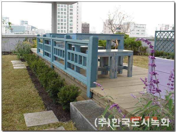 영준빌딩 옥상정원 초화류와 지피식물 식재 (서울 마포구)