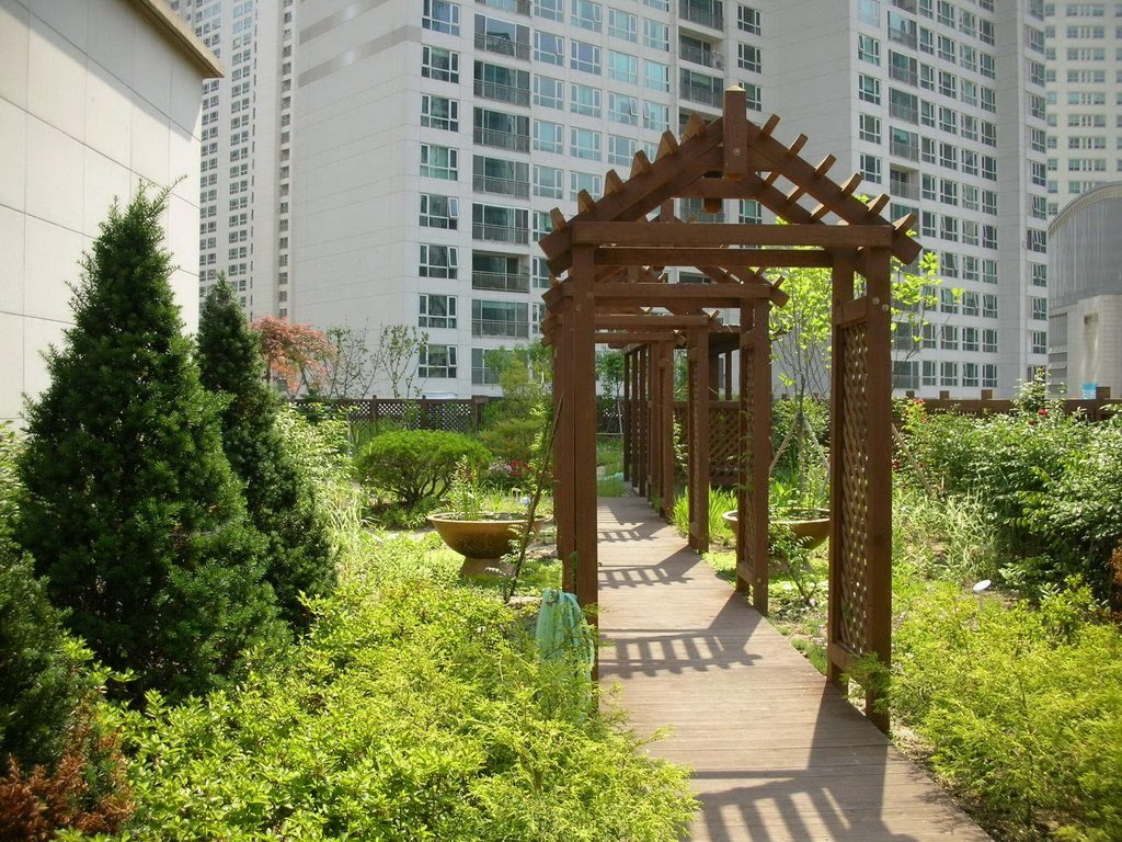 늘푸른고등학교 세덤정원과 나비비오톱 옥상녹화 (경기 성남시)