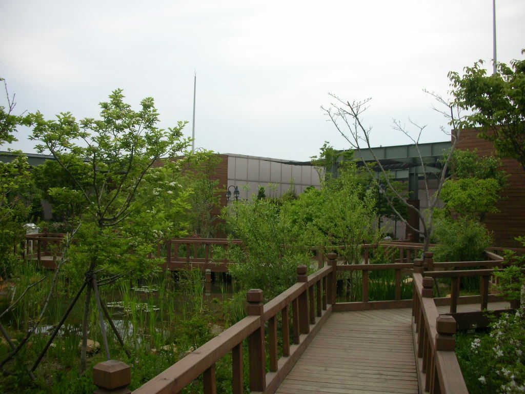 롯데백화점 일산점 옥상비오톱 5월 습지 경관 (경기 고양시)