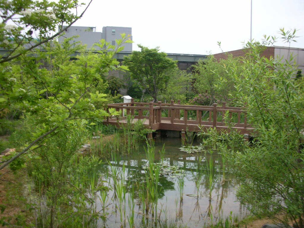 롯데백화점 일산점 옥상비오톱 전경 (경기 고양시)