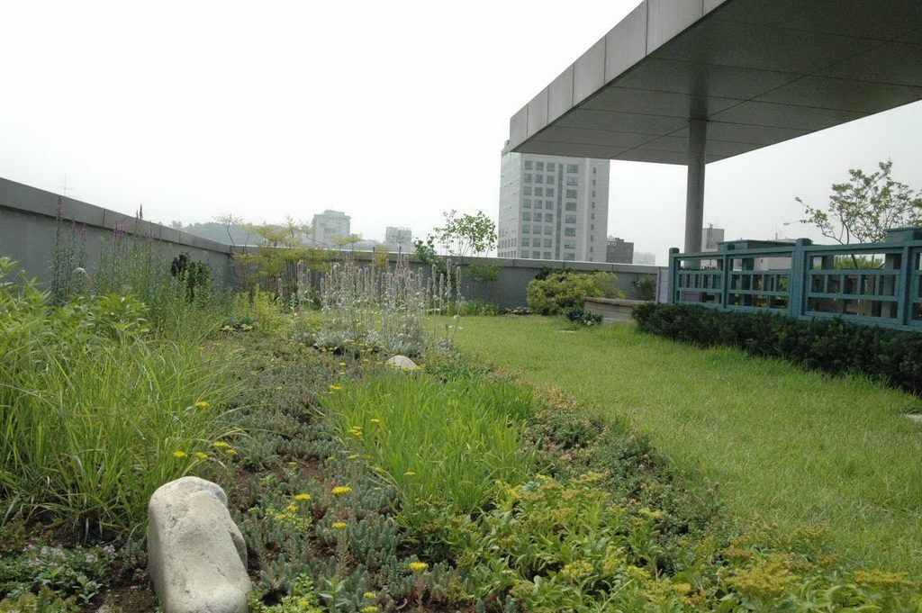 좋은생각빌딩 옥상정원 초화류 식재 (서울 마포구)