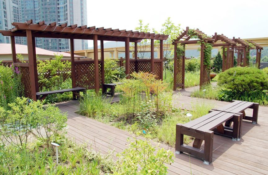 분당 늘푸른고등학교 옥상 하늘정원 7월 (경기 성남시)