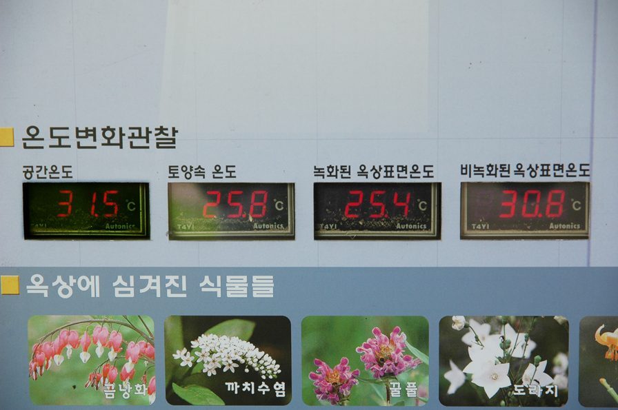 늘푸른고등학교 옥상 휴게 공간 (경기 성남시)