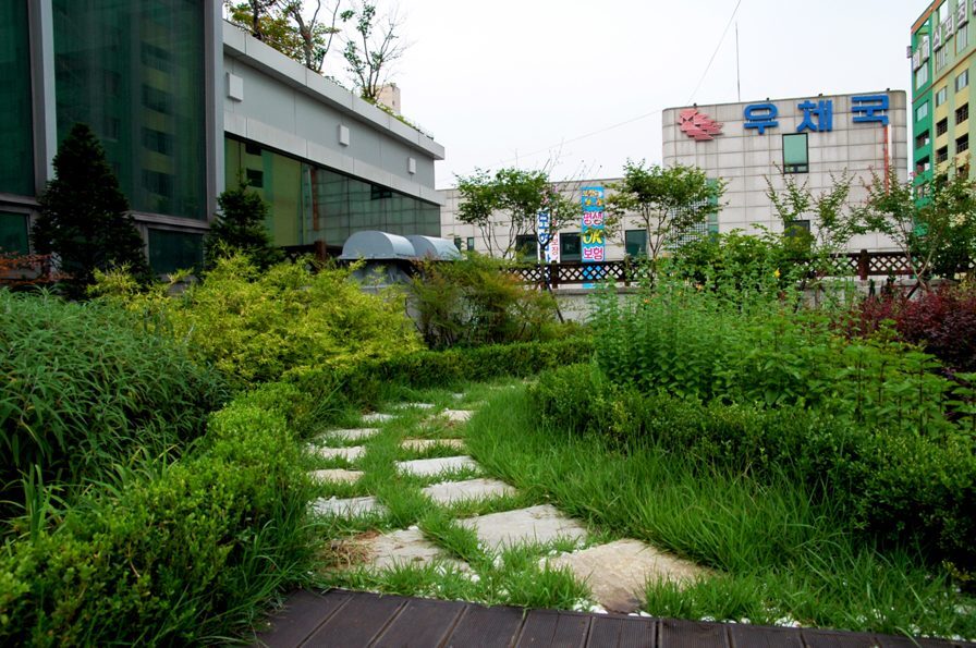 안양 동안구 보건소 옥상 초화류 식재 (경기 안양시)