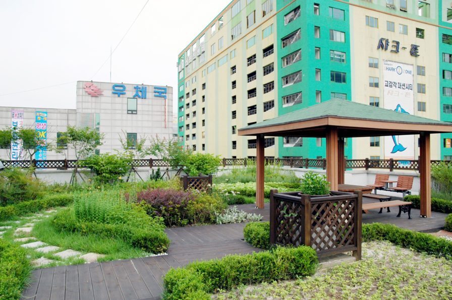 안양 동안구 보건소 옥상 식재 상세 (경기 안양시)