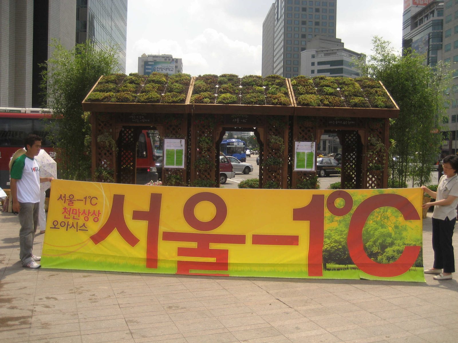 에코터널 세덤 식재 상세 (서울 종로구)