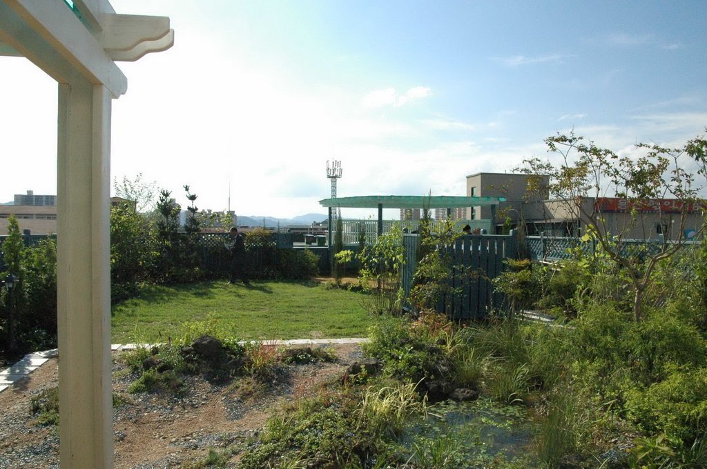 충주여자고등학교 옥상녹화 꽃술마루 개장 행사 (충북 충주시)