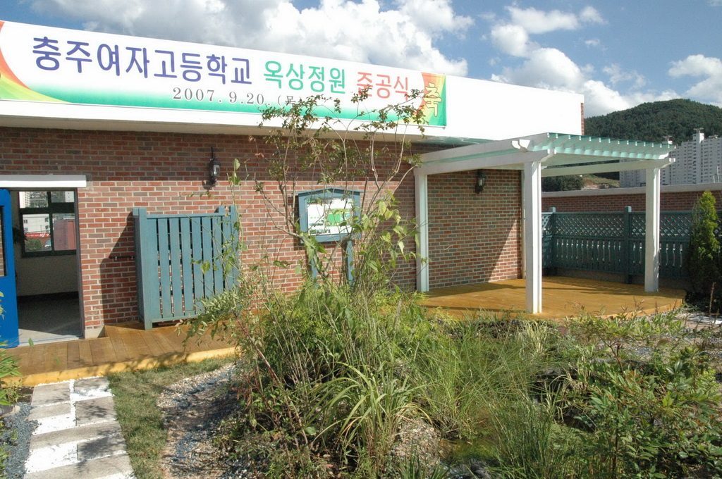 충주여고 옥상 꽃술마루 초화류 (충북 충주시)