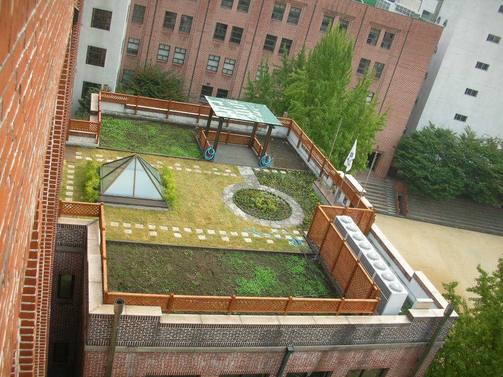 계성여고 옥상 식재와 벽화 (서울 중구)