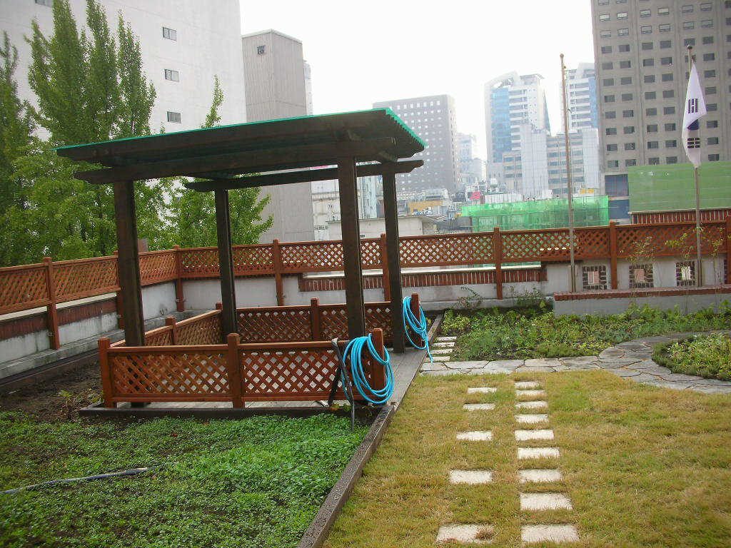 계성여고 옥상정원 식재 (서울 중구)