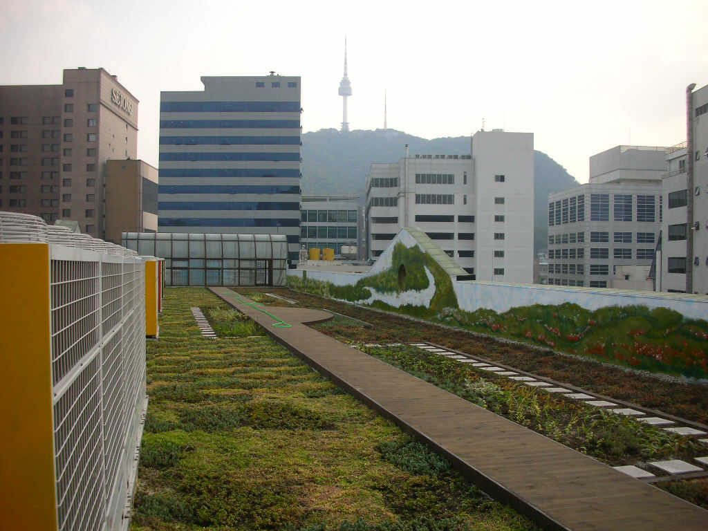 계성여고 옥상녹화 전경 (서울 중구)