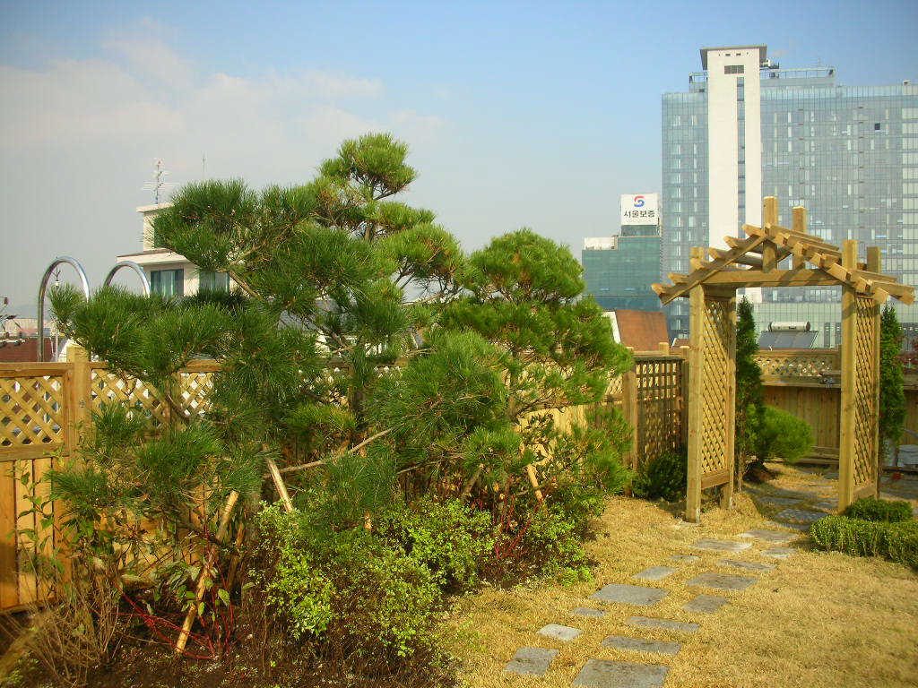 지비스타일 사옥 옥상 휴게 공간 (서울 강남구)