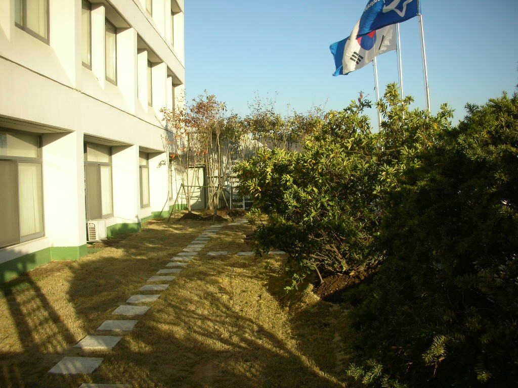 숙명여자대학교 옥상녹화 옥상정원 (서울 용산구)