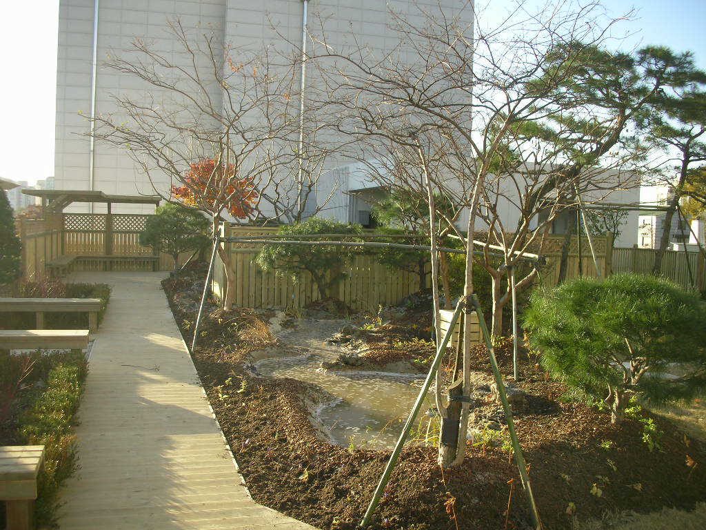 숙명여대 옥상 교목 식재와 벽면 활용 (서울 용산구)