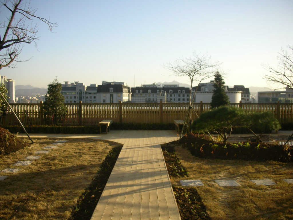 숙명여대 옥상 습지 조성 (서울 용산구)