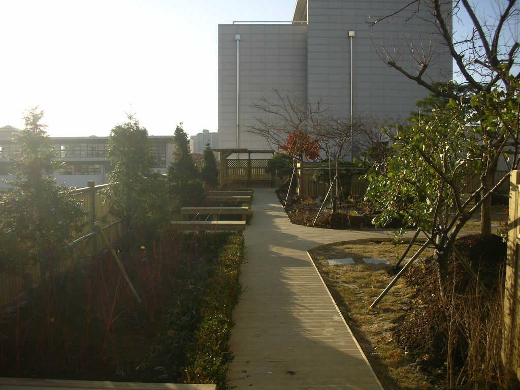 숙명여자대학교 옥상녹화 전경 (서울 용산구)