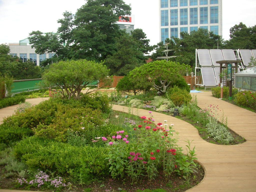 녹지사업소 옥상 식재 (서울 동작구)