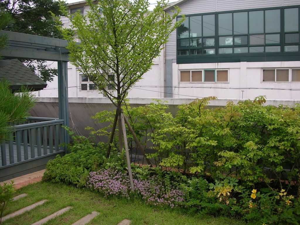 참사랑어린이집 옥상정원 식재 (경기 안성시)