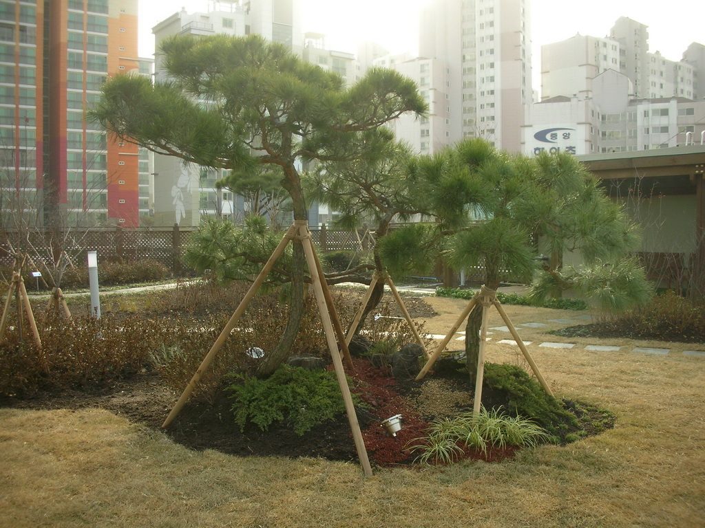 강남구청 옥상녹화 공간 구성 (서울 강남구)