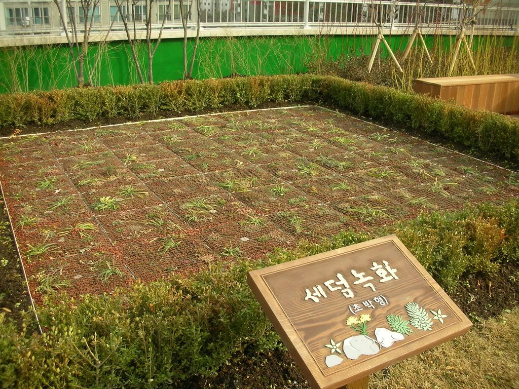 강남구청 옥상 식재 (서울 강남구)