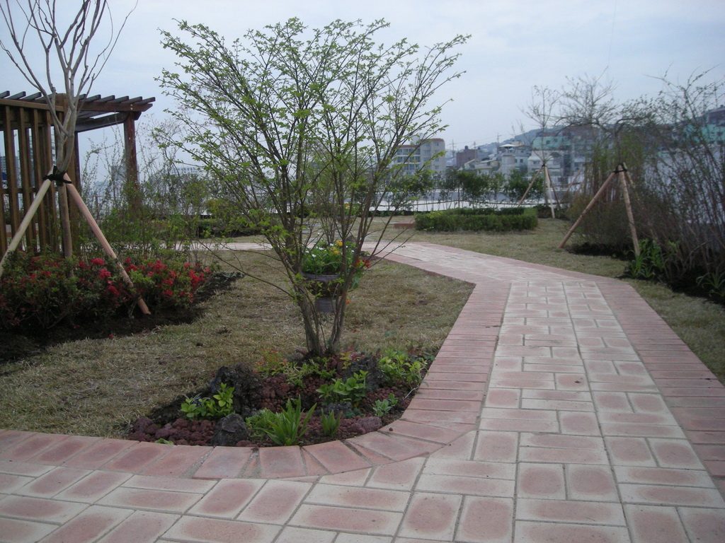 부산시 동구청 옥상녹화 (부산 동구)
