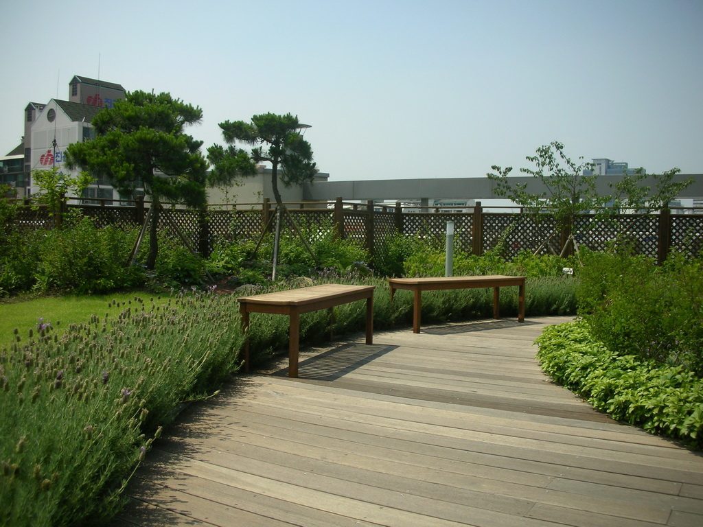 강남구청사 옥상공원 초화류 (서울 강남구)